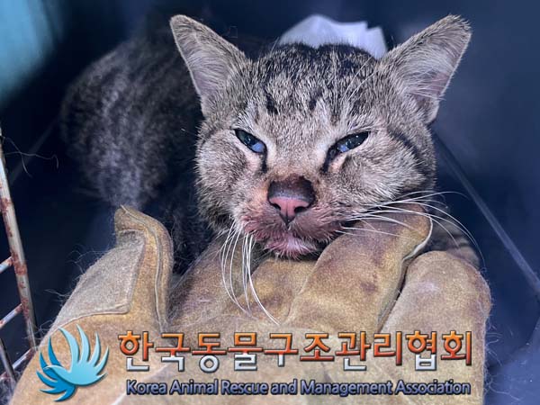 종료(자연사) 한국…